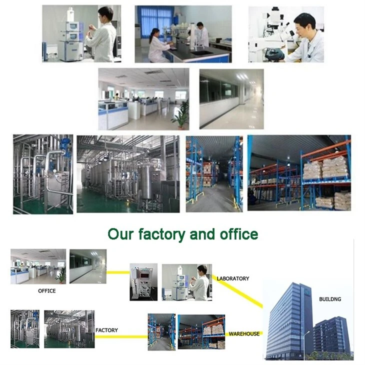 Tannase factory